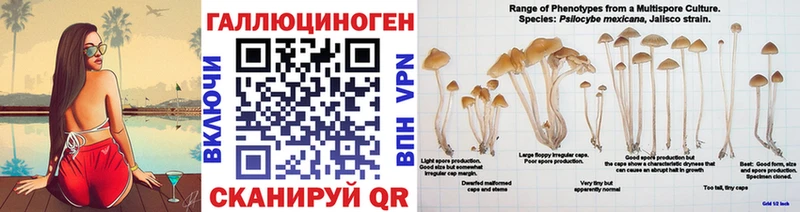 Галлюциногенные грибы мицелий  Дыгулыбгей 